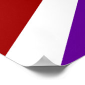 Batasuna Flag ポスター (角)