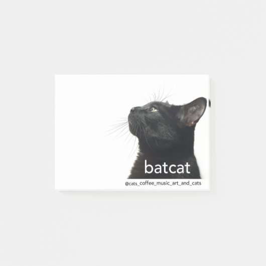 Batcat: ポスト・イット (正面)