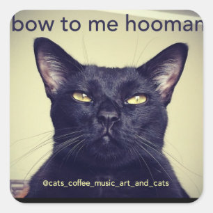 Batcat:私に弓を与えるHooman Sticker スクエアシール