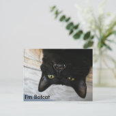 Batcat：私はBatcatはがき ポストカード (スタンド正面)