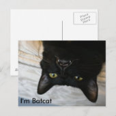 Batcat：私はBatcatはがき ポストカード (正面/裏面)