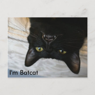 Batcat:私はBatcatはがき ポストカード