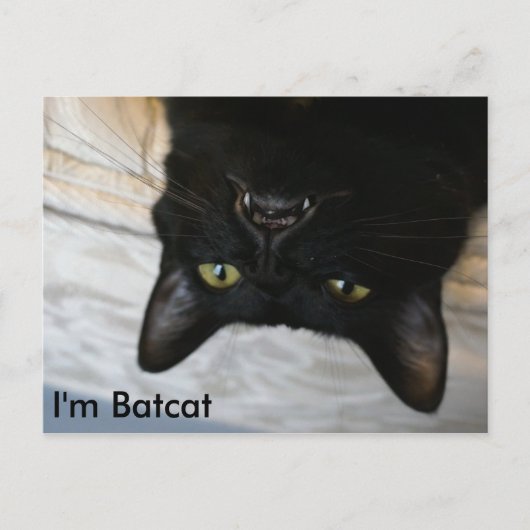 Batcat：私はBatcatはがき ポストカード (正面)