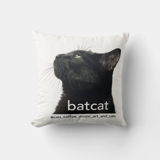Batcat: 装飾用クッション(2味方されたデザイン) クッション (正面)