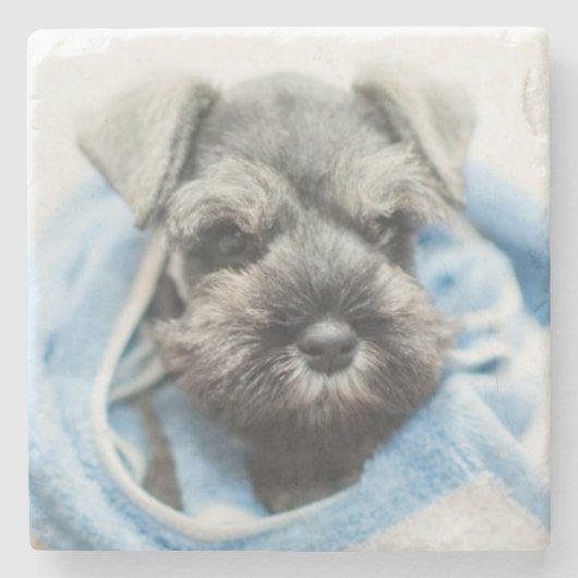 Bathの後の子犬 ストーンコースター (正面)