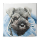 Bathの後の子犬 タイル (正面)