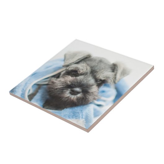 Bathの後の子犬 タイル (側面)