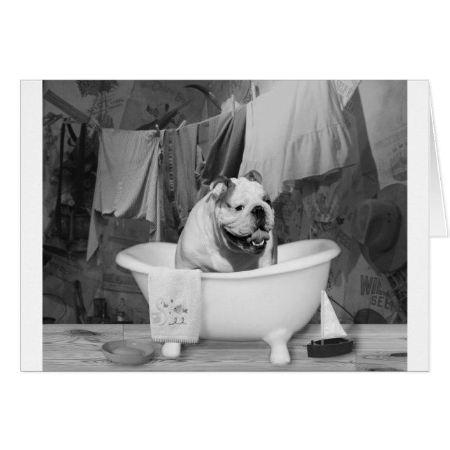 Bathの時間大きい仲間 (正面横)