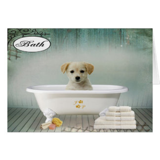 Bathの時間子犬