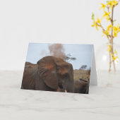 Bathの時間 カード (黄色い花)