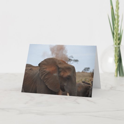 Bathの時間 カード (正面)