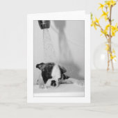 BathのHowie カード (黄色い花)