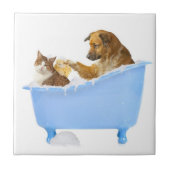 Bath time タイル (正面)