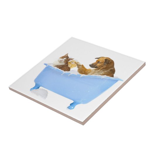 Bath time タイル (側面)