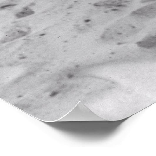 BATHERS at LINCOLN PARK - CHICAGO 1919 ポスター (角)