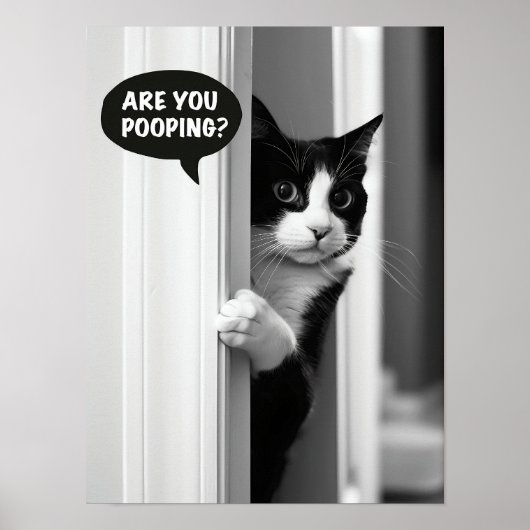 Bathroom Cat Poster, Are you Pooping Poster Funny  ポスター (正面)