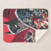 Batman Adventures Dangerous Dames & Demons シェルパブランケット (正面(横))