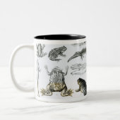 Batrachiansおよび他の両生綱 ツートーンマグカップ (左)