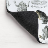 Batrachiansおよび他の両生綱 マウスパッド (コーナー)