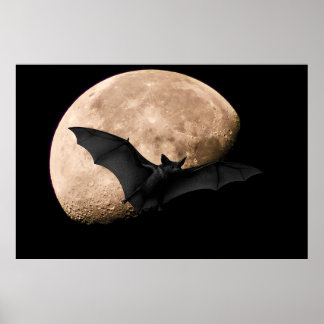 Batty Moon ポスター