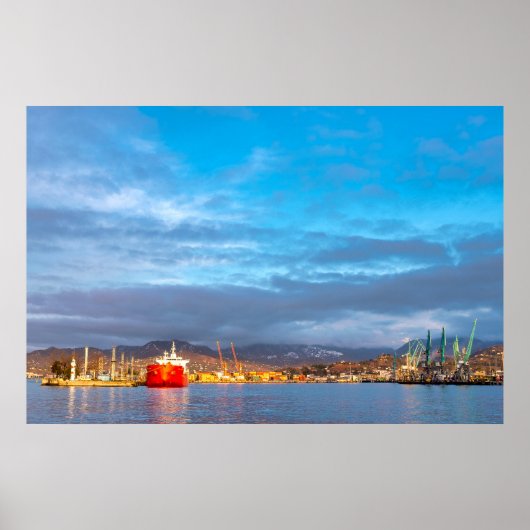 Batumi sea port ポスター (正面)