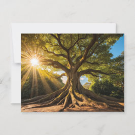 Baum in Sonnenstrahlen ポストカード