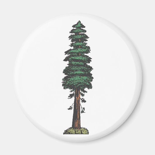Baum tree sequoia マグネット (正面)