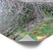 Baumstamm einer Esche, alter Baum mit Blätter, ポスター (角)