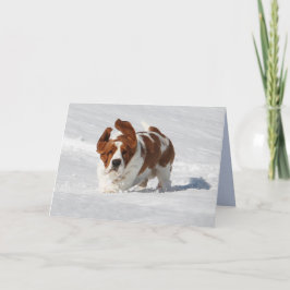 Bautiful Basset 空白の Hound付きのノートカード カード