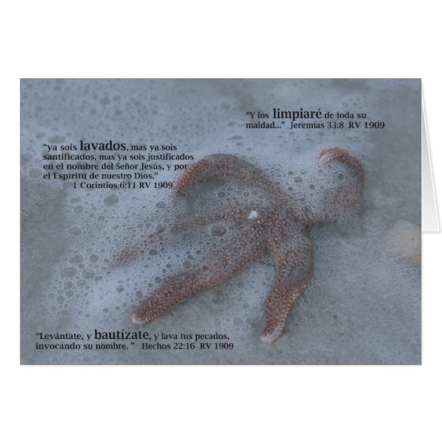 Bautizmo (Carta) (正面横)