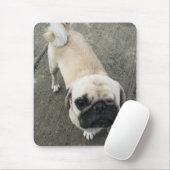 Bauwkの…タイのパグ犬 マウスパッド (マウス)