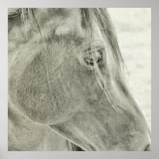 BAY美しい24x24ポスター ポスター