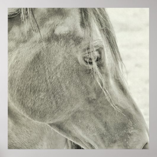 BAY美しい24x24ポスター ポスター (正面)