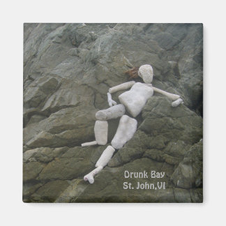 Bay at Salt Pond，セントジョン，ヴァージン諸島 マグネット