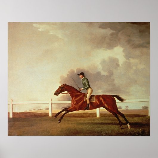 Bay Malton with John Singleton Up, c.1767 ポスター (正面)