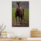 Bay Shire 荷車を引く Horse England（英国） ポスター (キッチン)