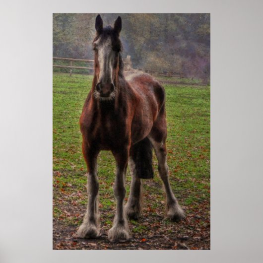 Bay Shire 荷車を引く Horse England（英国） ポスター (正面)