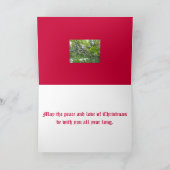 Bayberryのクリスマスカード シーズンカード (内部)