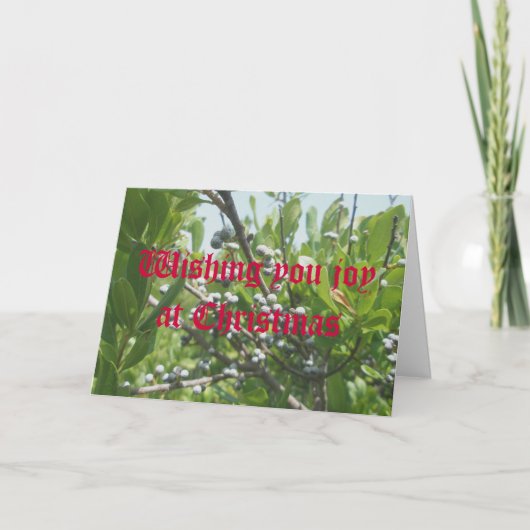 Bayberryのクリスマスカード シーズンカード (正面)