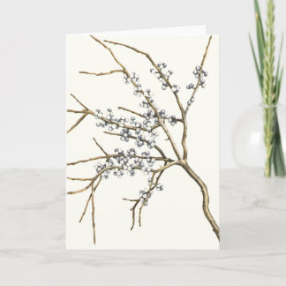 Bayberry シーズンカード