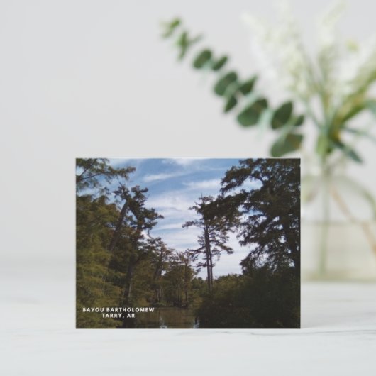 Bayou Batholomew, Tarry, AR ポストカード (スタンド正面)