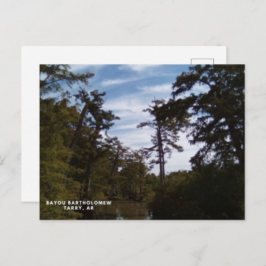 Bayou Batholomew, Tarry, AR ポストカード (正面/裏面)