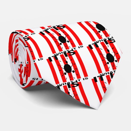 Bazingaのギフト ネクタイ (ロール)