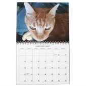 Bazz 12月2025カレンパーソナライズされたダー カレンダー (1月 2027)