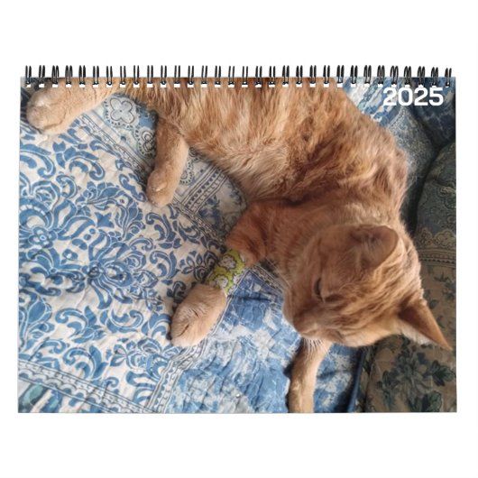 Bazz 12月2025カレンパーソナライズされたダー カレンダー (カバー)