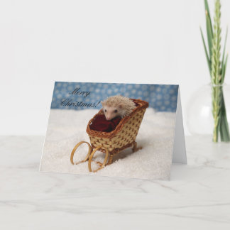 BB238777、MerryChristmas! シーズンカード