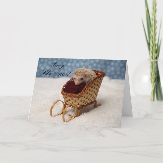 BB238777、MerryChristmas! シーズンカード (正面)