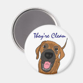 BB-おもしろい犬食洗機磁石 マグネット (正面/裏面)