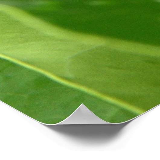 bb fli 2 ポスター (角)