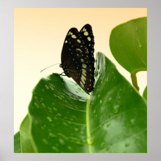 bb fli 2 ポスター